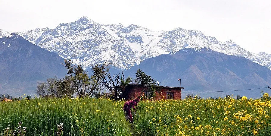Бизнес в Хонконг се стартира за 24 часа