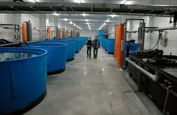 Бургазлийка развъжда барамунди до морето