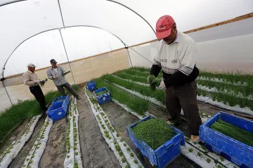 Сдружение брани семейните ферми