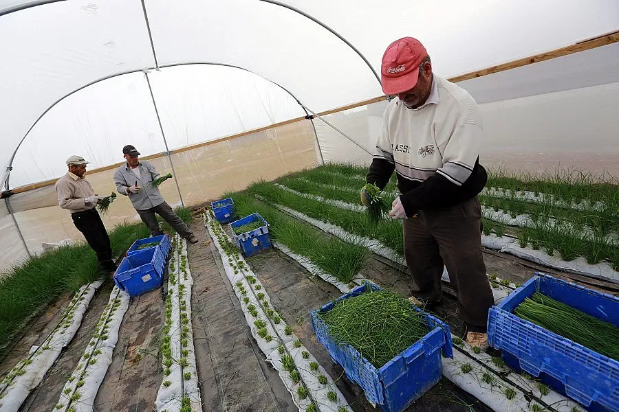 Сдружение брани семейните ферми