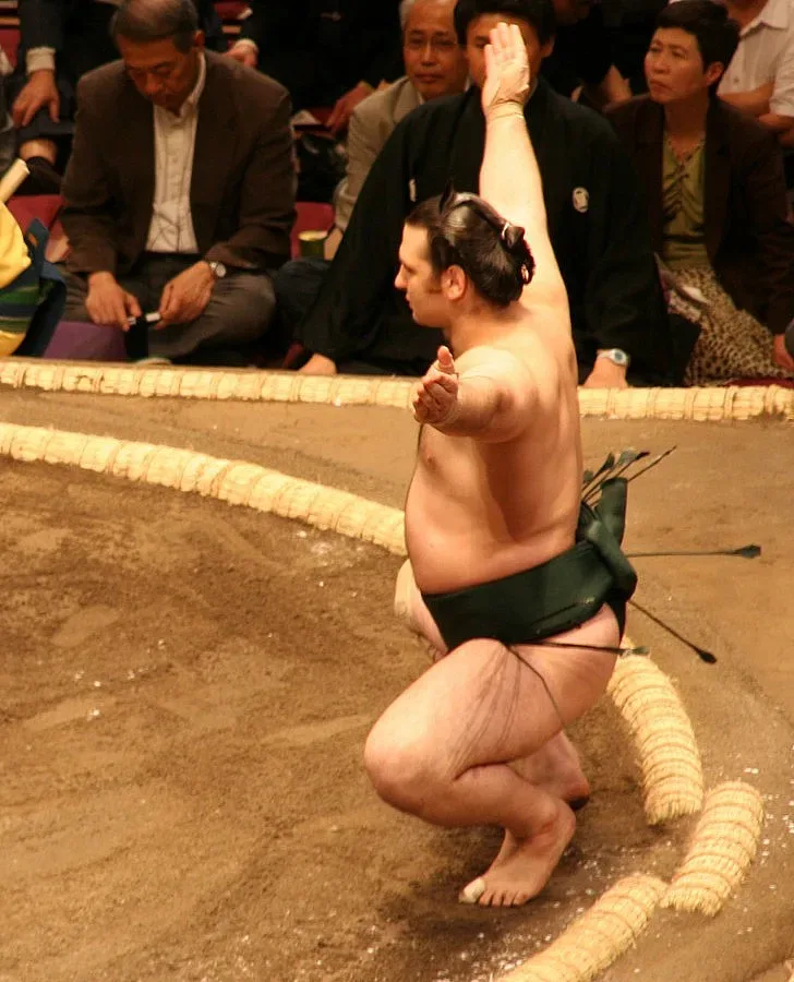 Гигантът от Джулюница