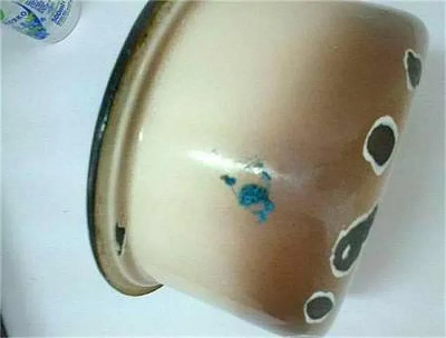 Експертизата: В синьото мляко е имало отрова за мишки