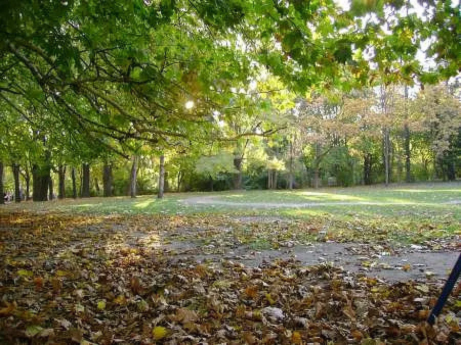 Прокуратурата проверява казуса с Морската градина във Варна