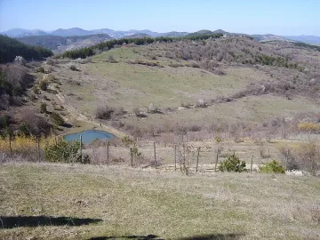 Започна разселването на елени лопатари край Чеганци