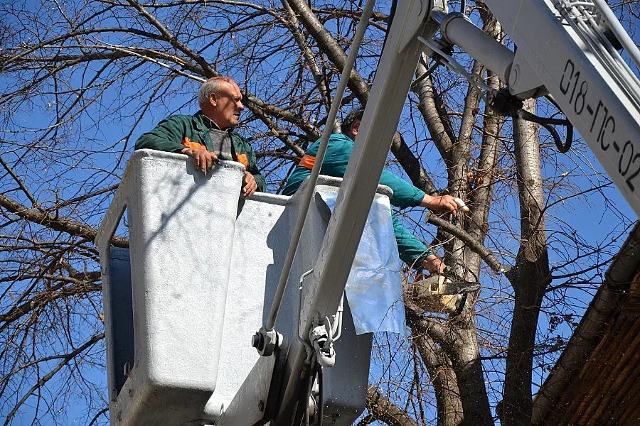 Аварийни екипи чистят Благоевград след бурята