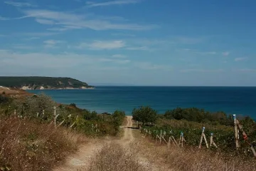 Протест довечера срещу застрояването на Карадере