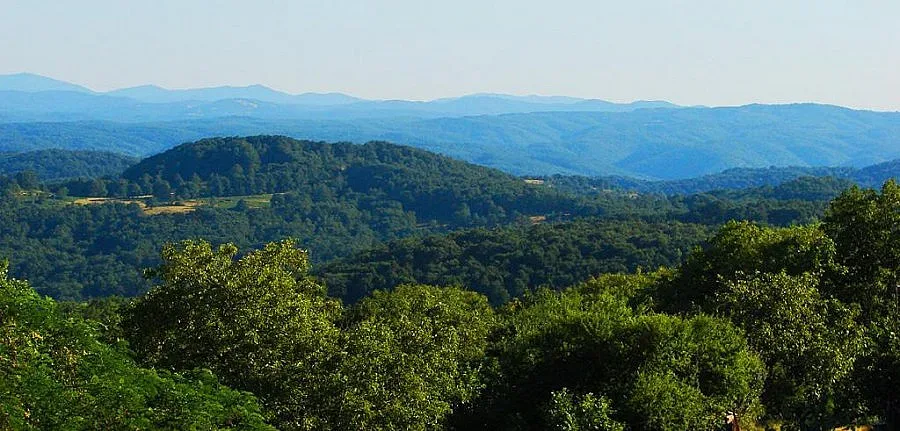 Акушерката на Кадафи изчезна в Странджа