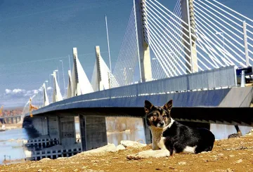 Тръгват влакове по Дунав мост 2