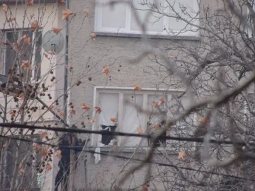 Петко купил пушки с пари от рента