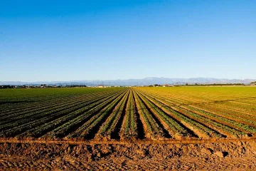 Приемат документите за субсидиите от ЕС