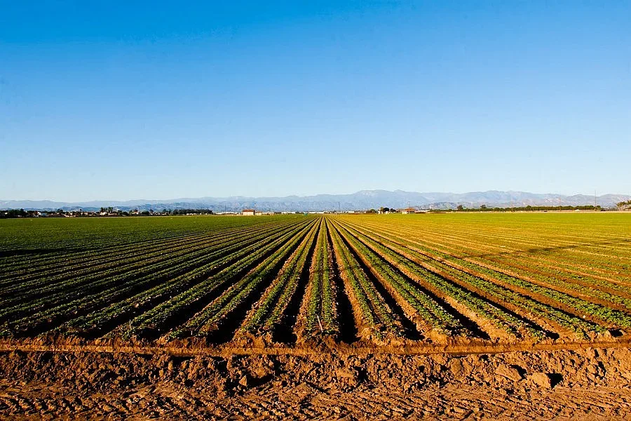 Приемат документите за субсидиите от ЕС