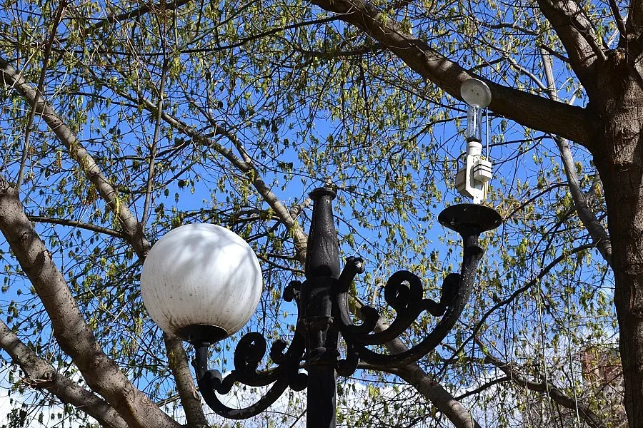 Вандали потрошиха лампи за 8500 лева