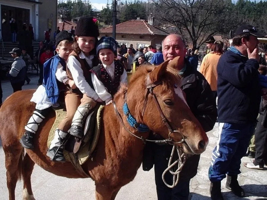Коне в апартаменти