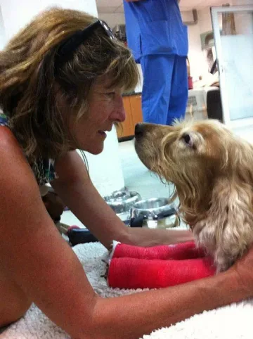 Канди Сас: Кучетата имат чувства като нас