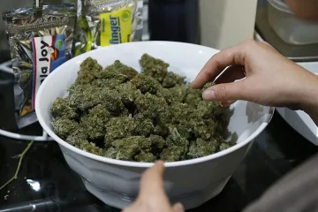 Младежи с дискусия срещу марихуаната