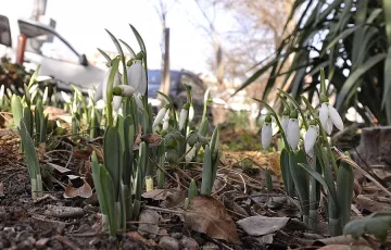 Слънчево и още по-топло днес