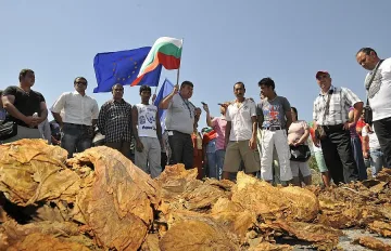 Булгартабак подпомага тютюнопроизводителите