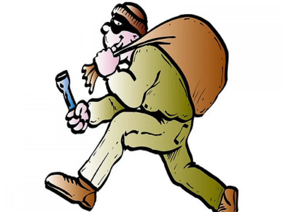 Гардове тренират баби да ловят крадци