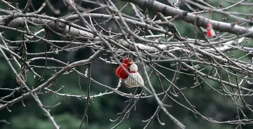 Слънчевото време продължава и в четвъртък