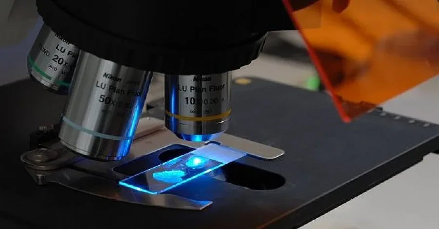 Българка с престижна американска награда за изследвания на рака на кожата