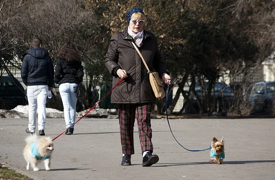 Живакът скача до 15°