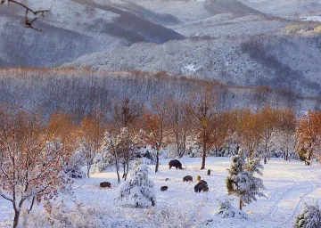 Нищят екологичните проблеми по поречието на р. Струма
