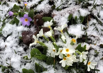 Времето се затопля от сряда
