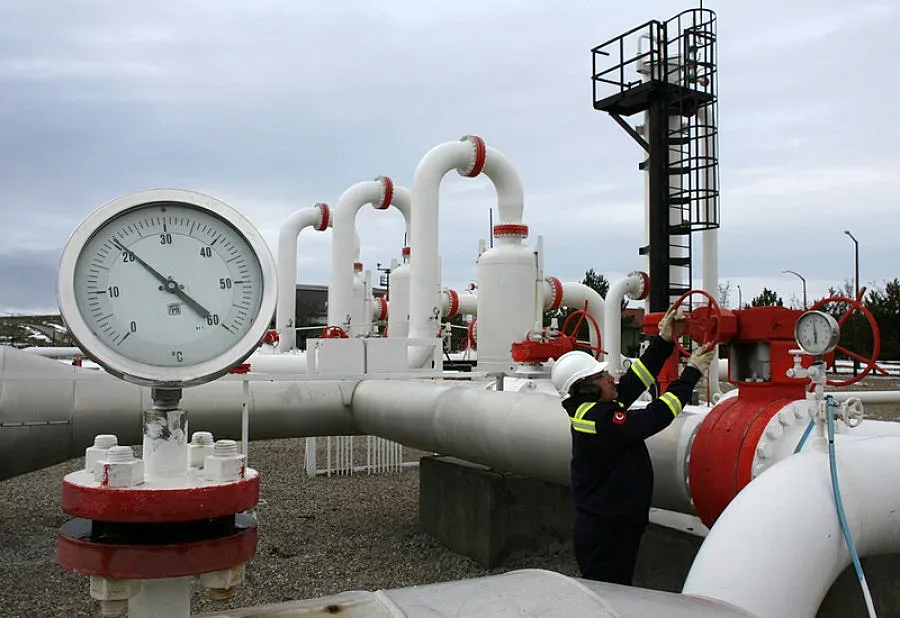 Първанов: Правителството да реагира за "Южен поток"