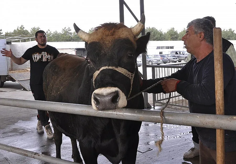 2000 евро за бизнес на село