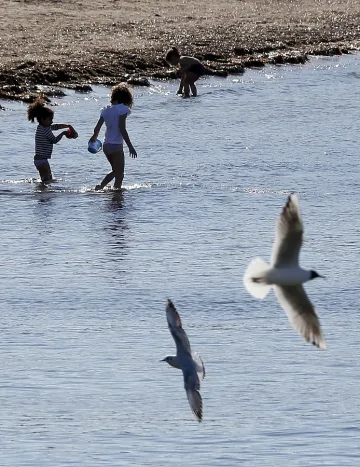 Курортите остават без пречиствателни станции 