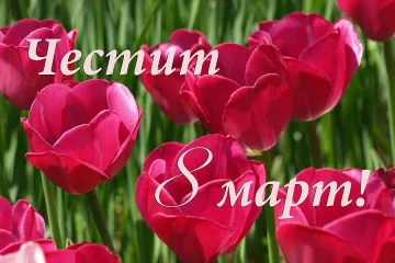 8 март: Майката - вечният празник и болка