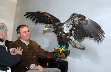 Стадионът е зелен и орлицата го хареса