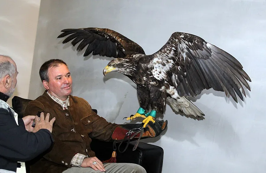 Стадионът е зелен и орлицата го хареса