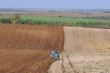 МВФ вдига цената на пшеницата