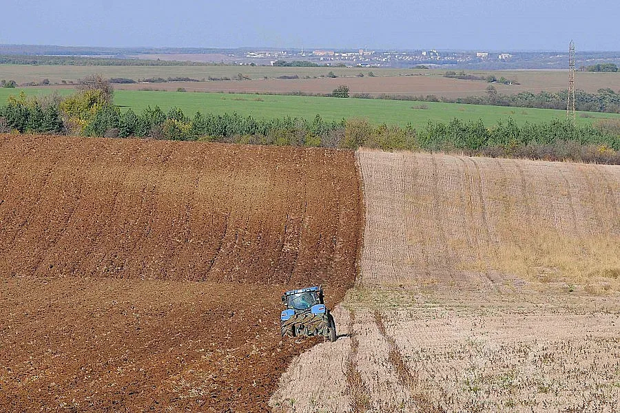 МВФ вдига цената на пшеницата
