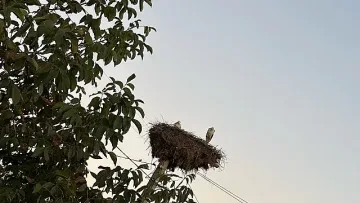 Климатичните аномалии доведоха до невиждана гледка