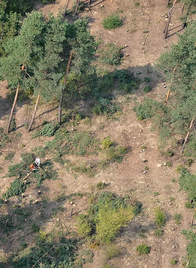 Село се вдига на бунт заради гори