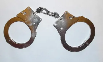 24 часа арест за Пънка
