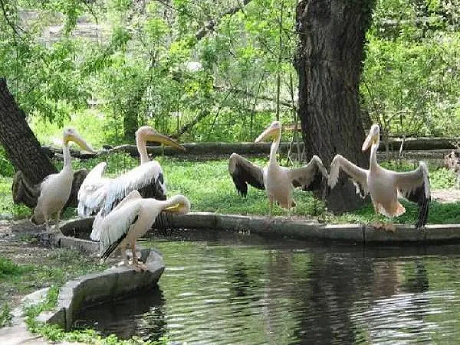 Показват интересни архиви за защитените ни територии в изложба
