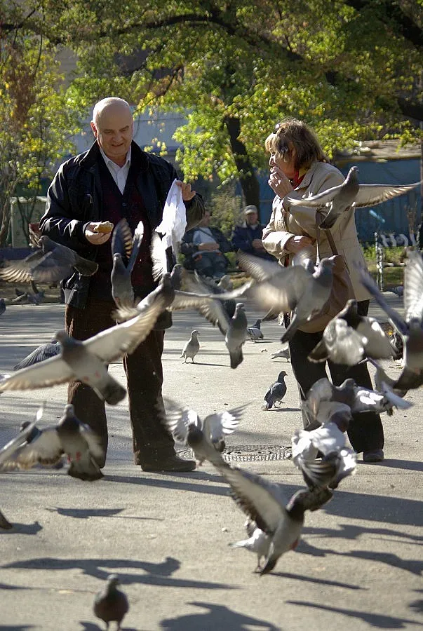 Слънчево и топло в четвъртък