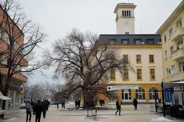 Поканиха патриарха да подкрепи Стария бряст