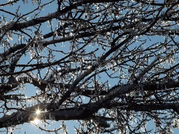 Лек сутрешен сняг във вторник, следва слънце