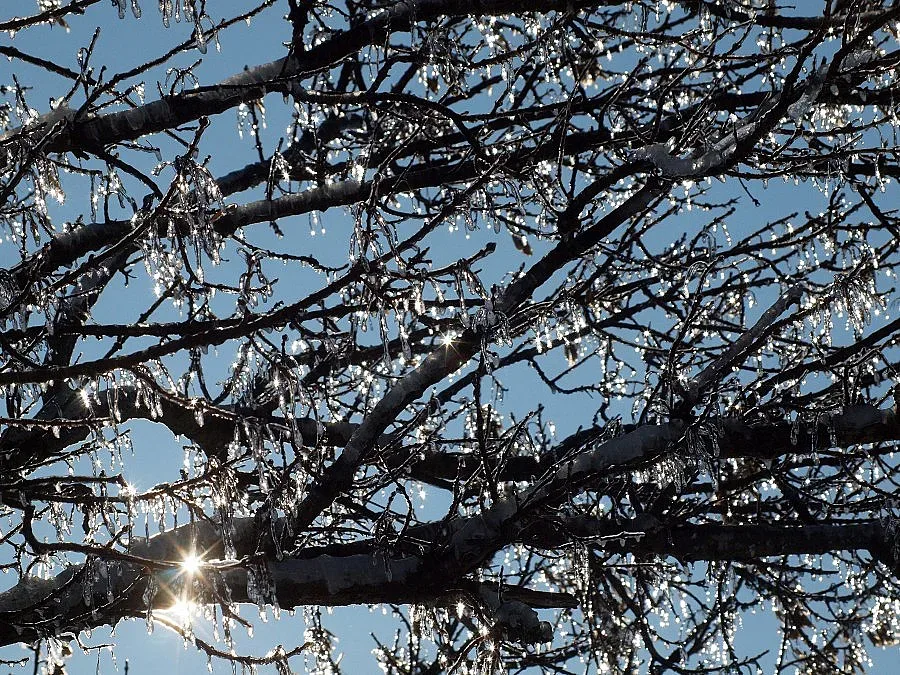 Лек сутрешен сняг във вторник, следва слънце