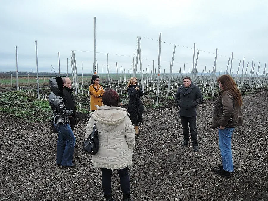 Дават евтини заеми на фермери