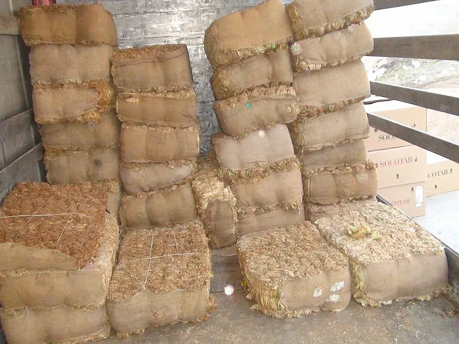 Приключи изкупуването на тютюна в област Кърджали,