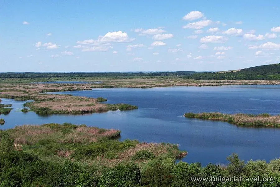 Биг брадър и за пеликаните в Сребърна