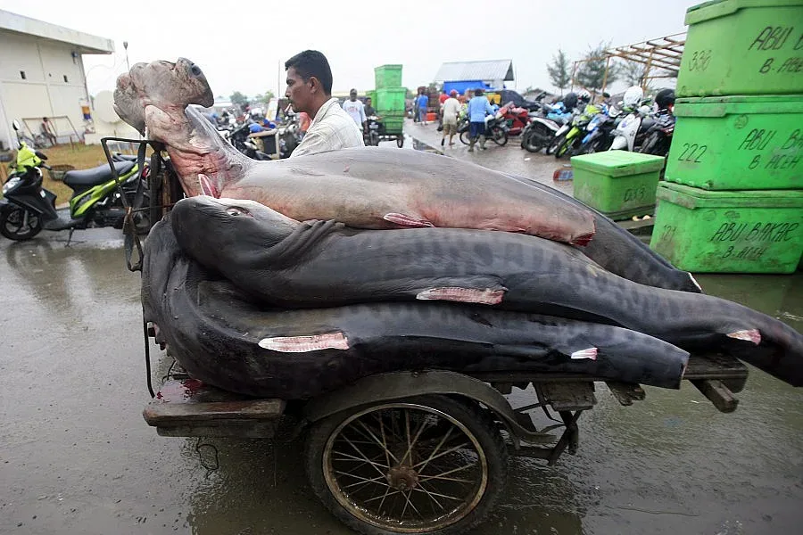 Араби идват да залагат по морето