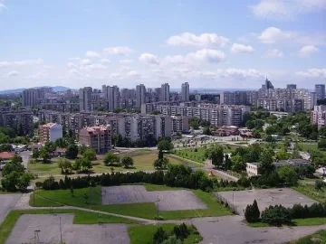 Гамени тровят домашни и бездомни кучета