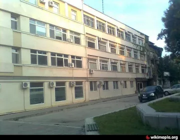 Ученичка заби джип в дърво