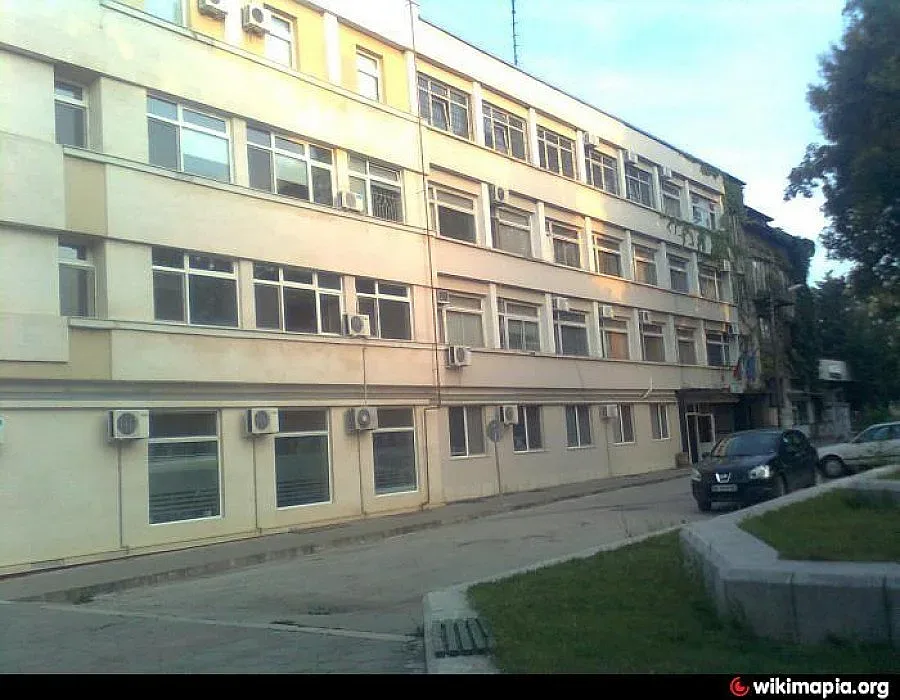 Ученичка заби джип в дърво